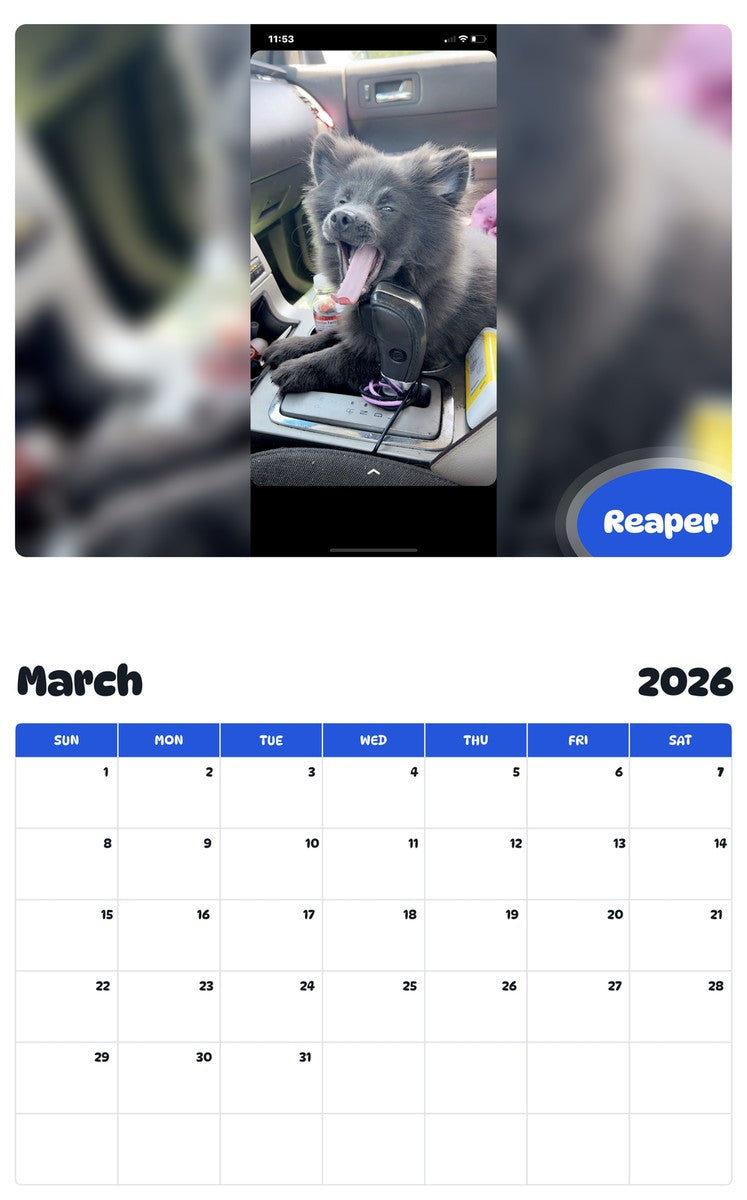 November 2025 - October 2026 Reaper - Pawidols Pet Calendar