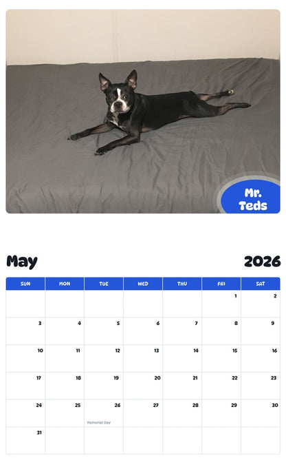 2026 - 2027 Mr. Teds - Pawidols Pet Calendar