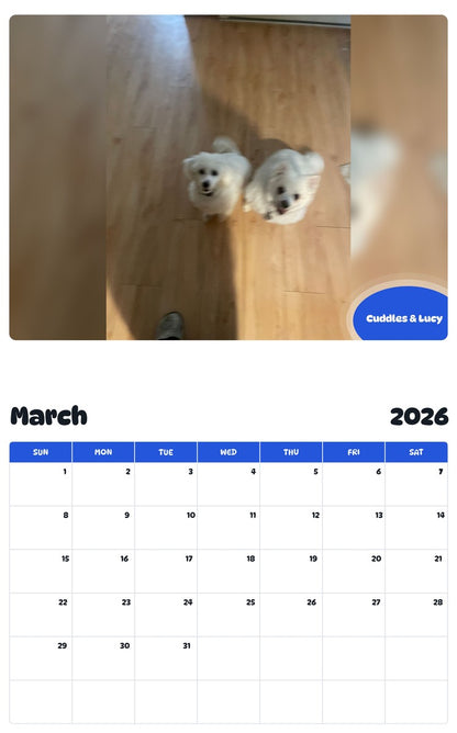 November 2025 - October 2026 Cuddles & Lucy - Pawidols Pet Calendar