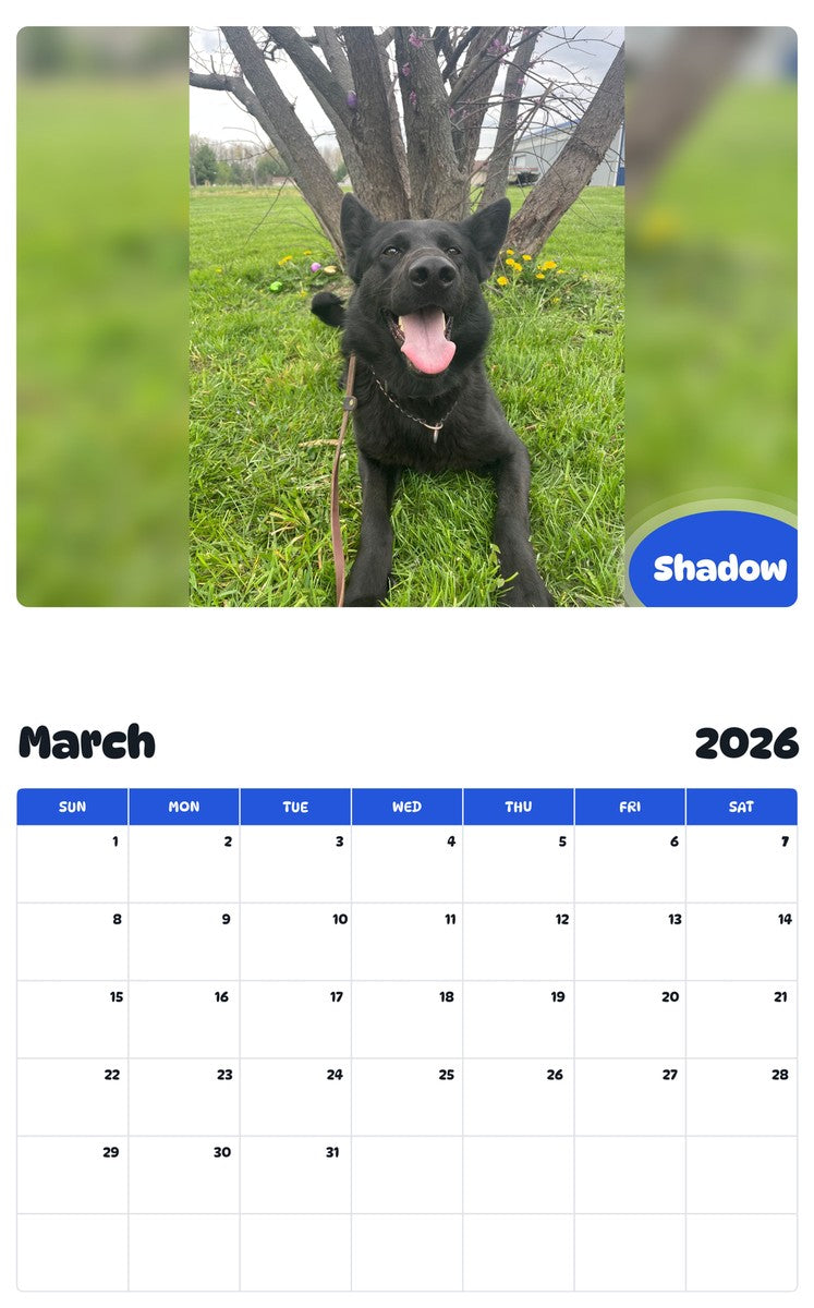 November 2025 - October 2026 Shadow - Pawidols Pet Calendar