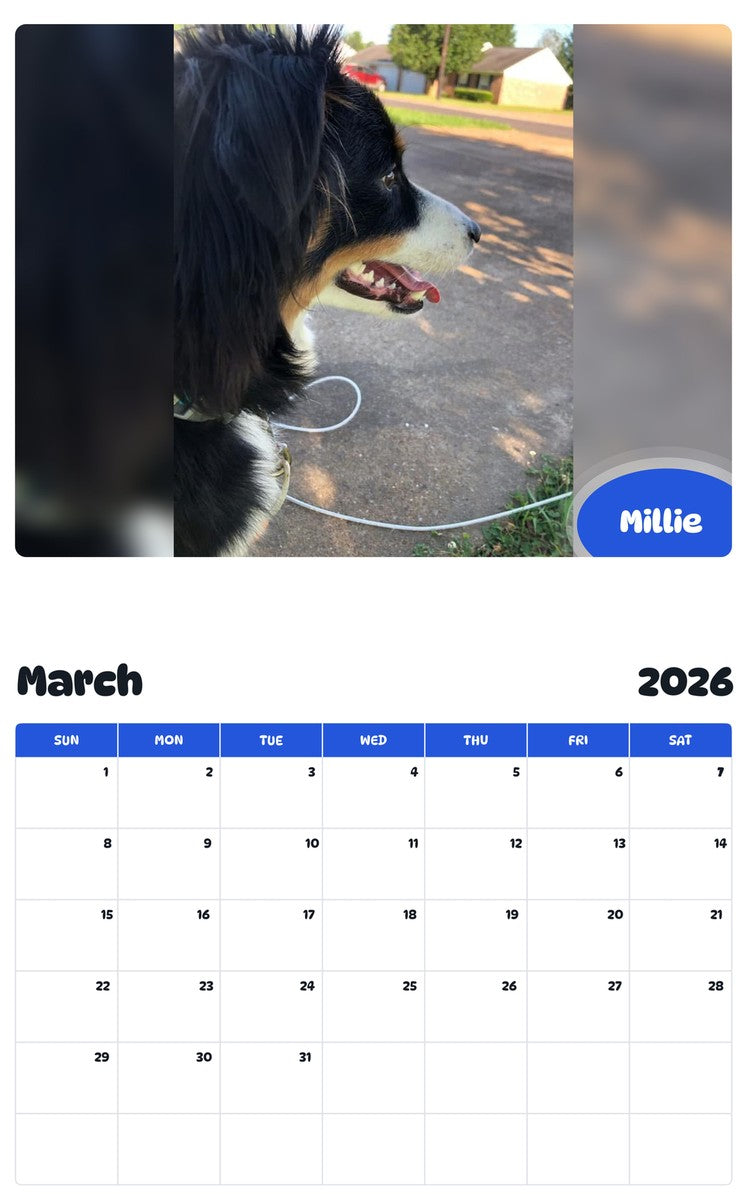 November 2025 - October 2026 Millie - Pawidols Pet Calendar