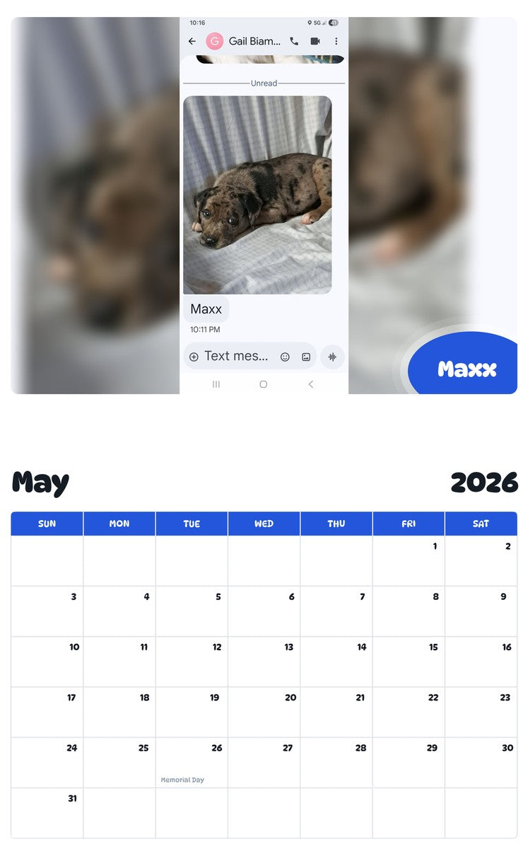 2026 - 2027 Maxx - Pawidols Pet Calendar