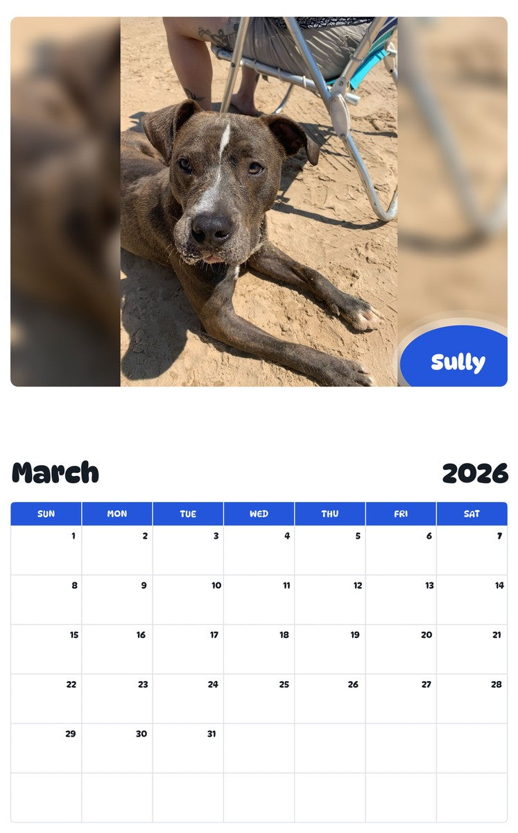 November 2025 - October 2026 Sully - Pawidols Pet Calendar