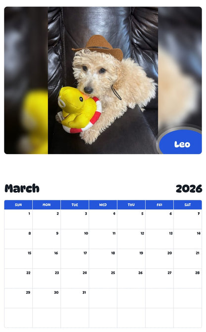 November 2025 - October 2026 Leo - Pawidols Pet Calendar
