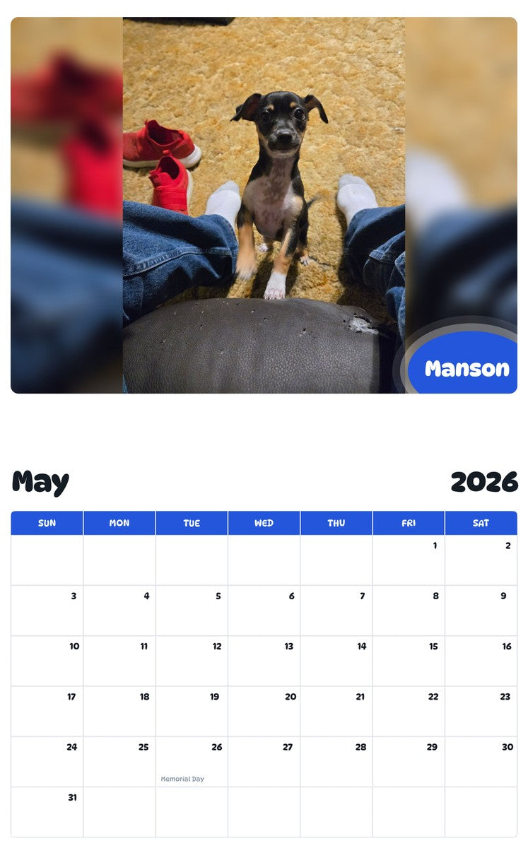 2026 - 2027 Manson - Pawidols Pet Calendar