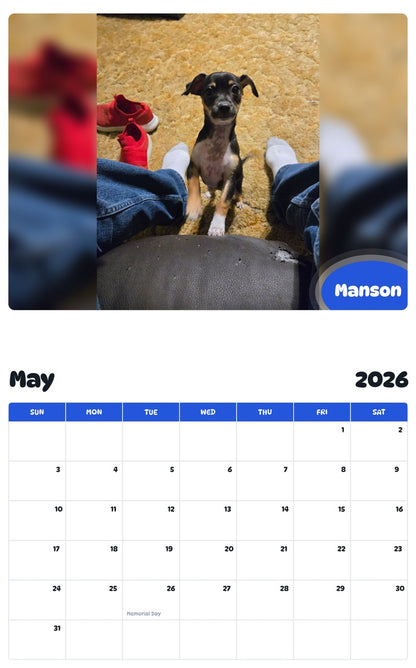 2026 - 2027 Manson - Pawidols Pet Calendar