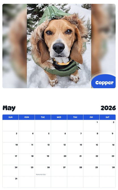 2026 - 2027 Copper - Pawidols Pet Calendar