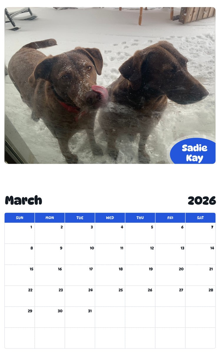 November 2025 - October 2026 Sadie Kay - Pawidols Pet Calendar