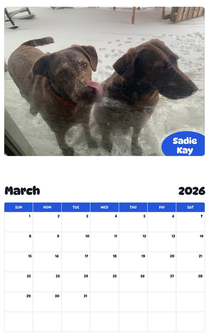 November 2025 - October 2026 Sadie Kay - Pawidols Pet Calendar