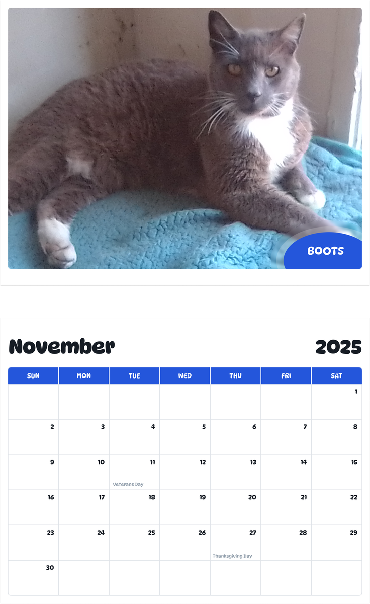July 2025 - June 2026 Boots - Pawidols Pet Calendar
