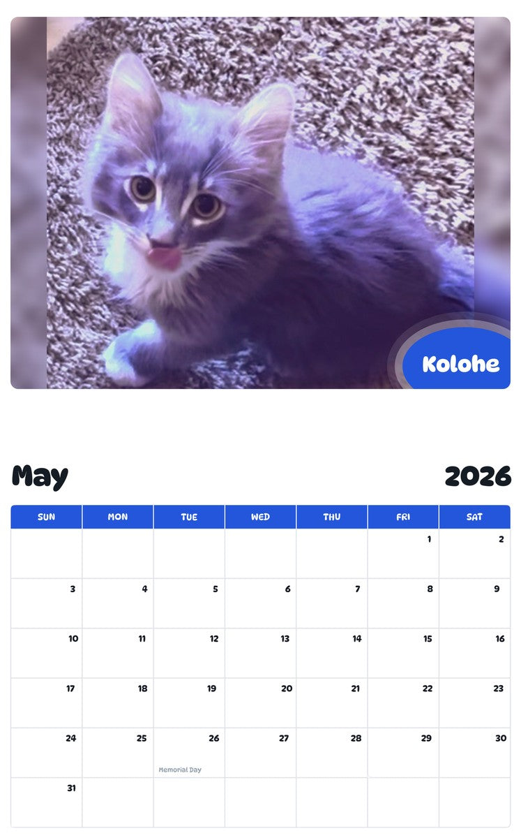 2026 - 2027 Kolohe - Pawidols Pet Calendar