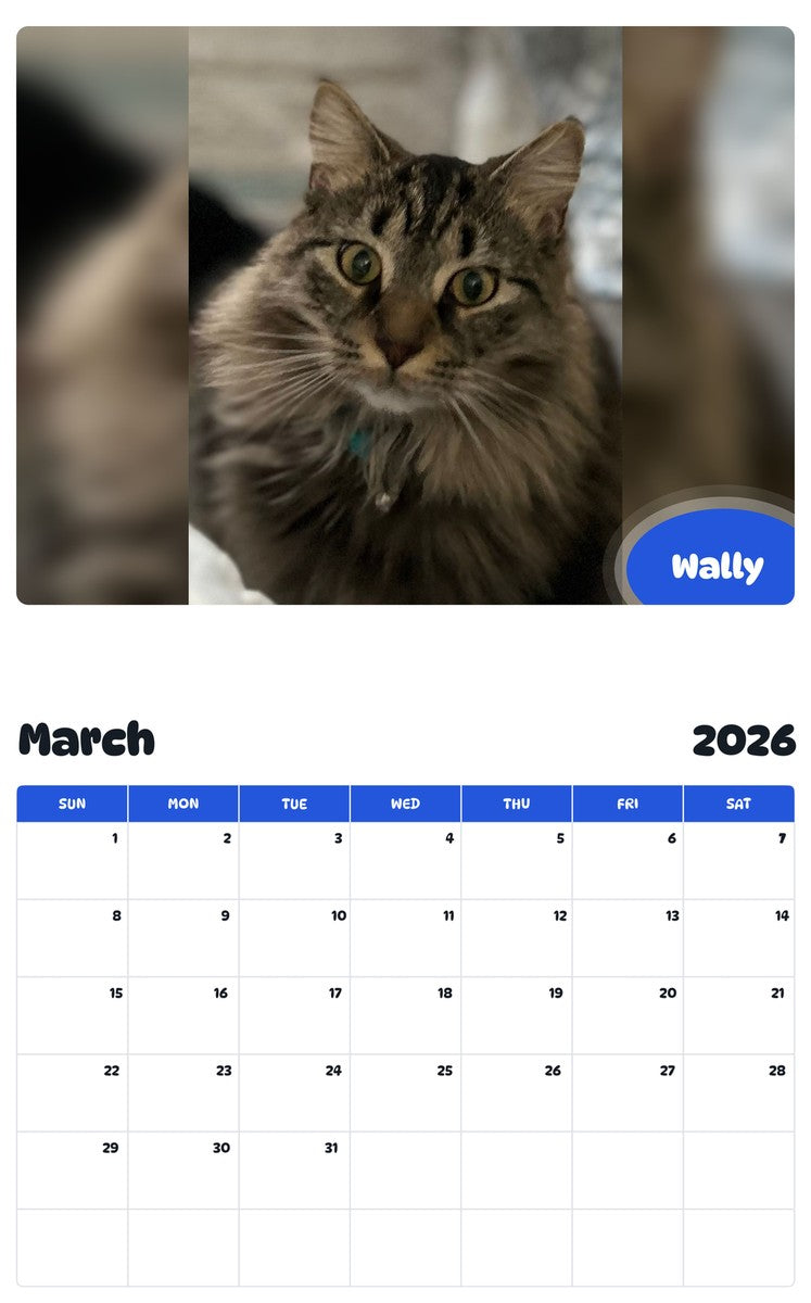November 2025 - October 2026 Wally - Pawidols Pet Calendar