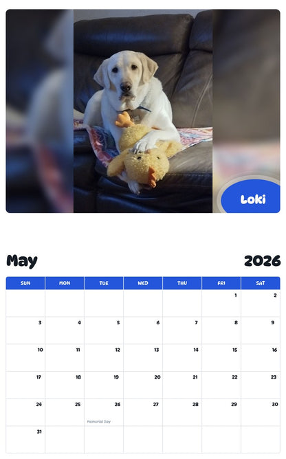 2026 - 2027 Loki - Pawidols Pet Calendar