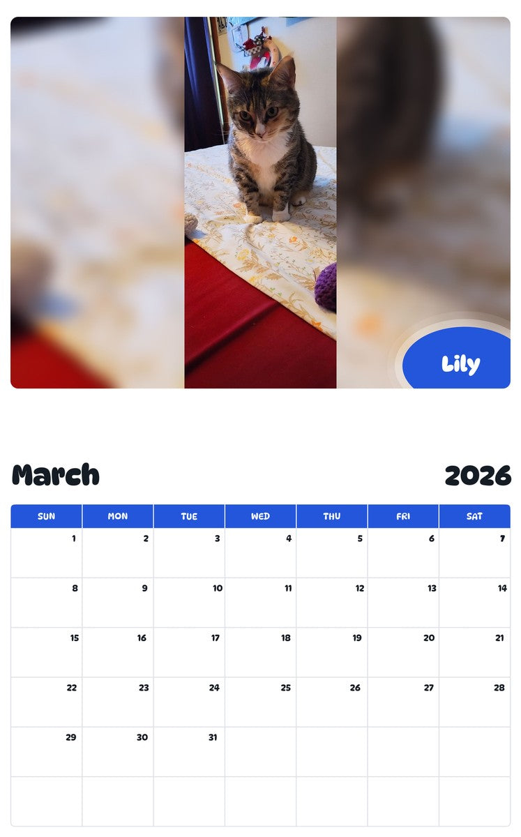 November 2025 - October 2026 Lily - Pawidols Pet Calendar