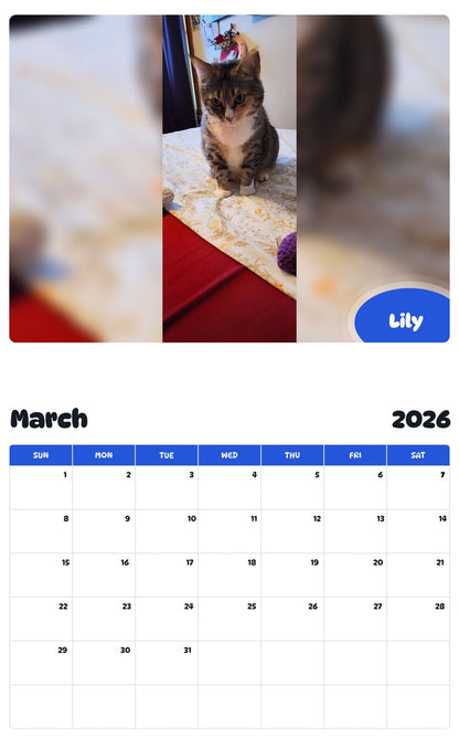 November 2025 - October 2026 Lily - Pawidols Pet Calendar