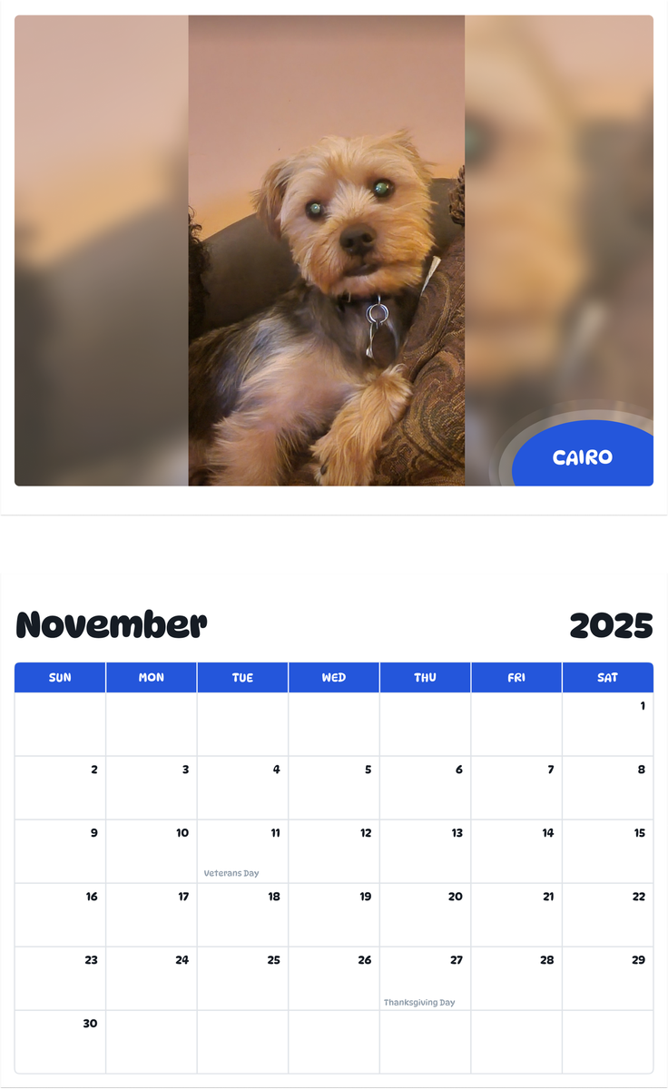 July 2025 - June 2026 Cairo - Pawidols Pet Calendar