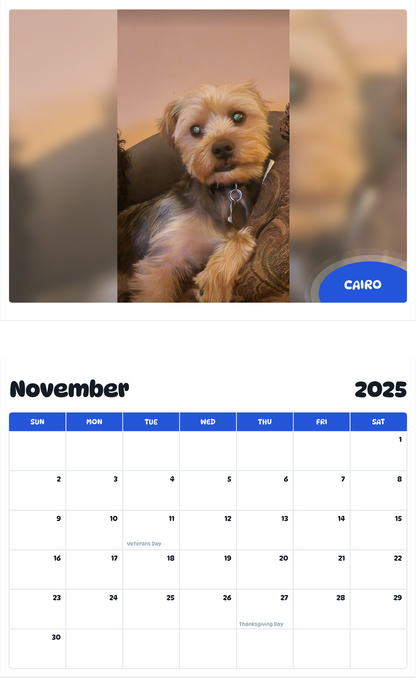 July 2025 - June 2026 Cairo - Pawidols Pet Calendar