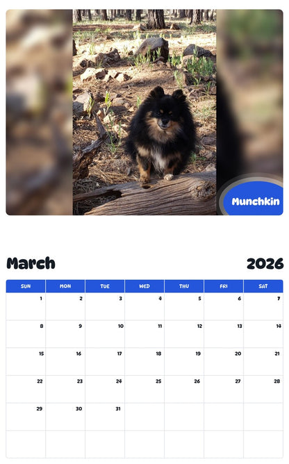 November 2025 - October 2026 Munchkin - Pawidols Pet Calendar