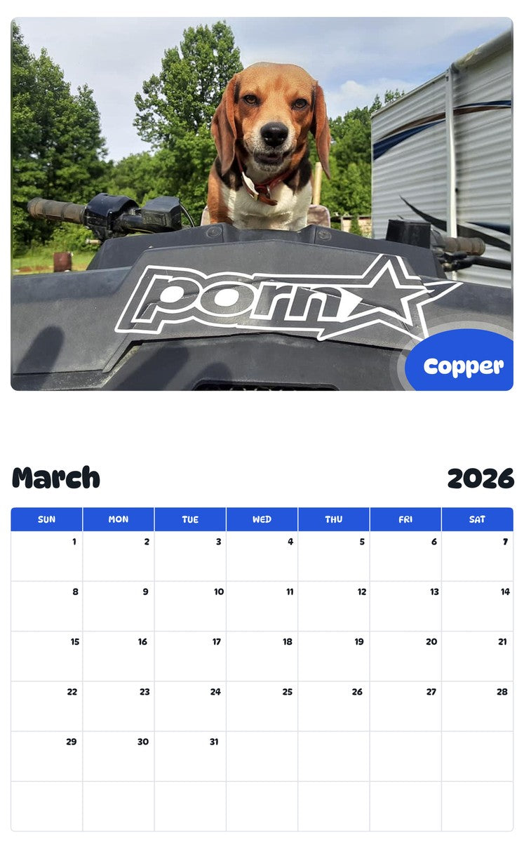 November 2025 - October 2026 Copper - Pawidols Pet Calendar
