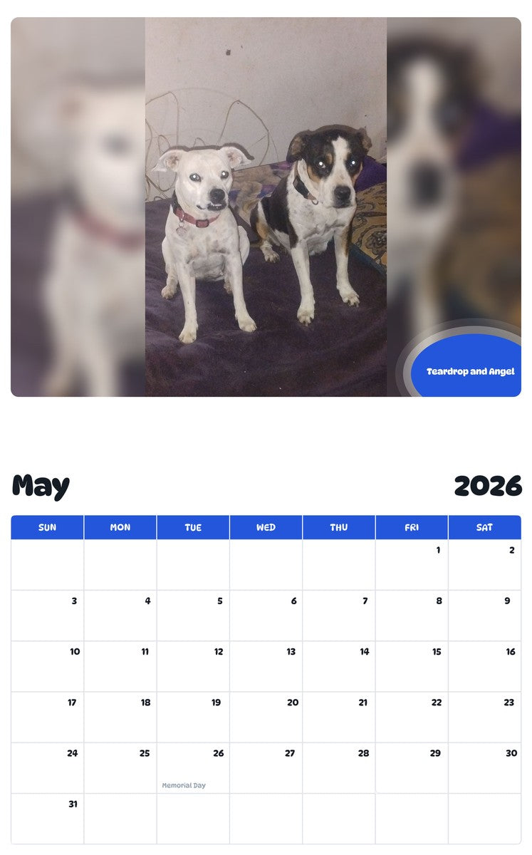 2026 - 2027 Teardrop and Angel - Pawidols Pet Calendar