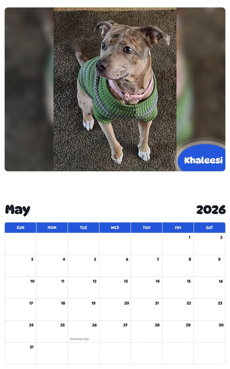 2026 - 2027 Khaleesi - Pawidols Pet Calendar