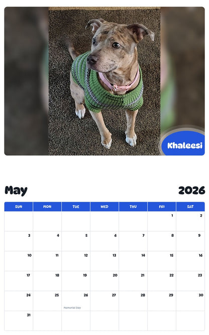2026 - 2027 Khaleesi - Pawidols Pet Calendar
