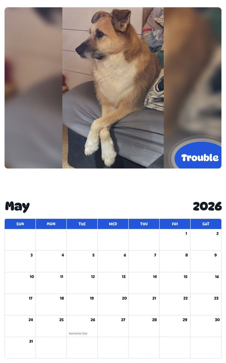 2026 - 2027 Trouble - Pawidols Pet Calendar