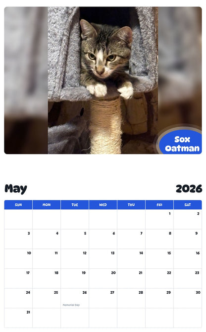 2026 - 2027 Sox Oatman - Pawidols Pet Calendar