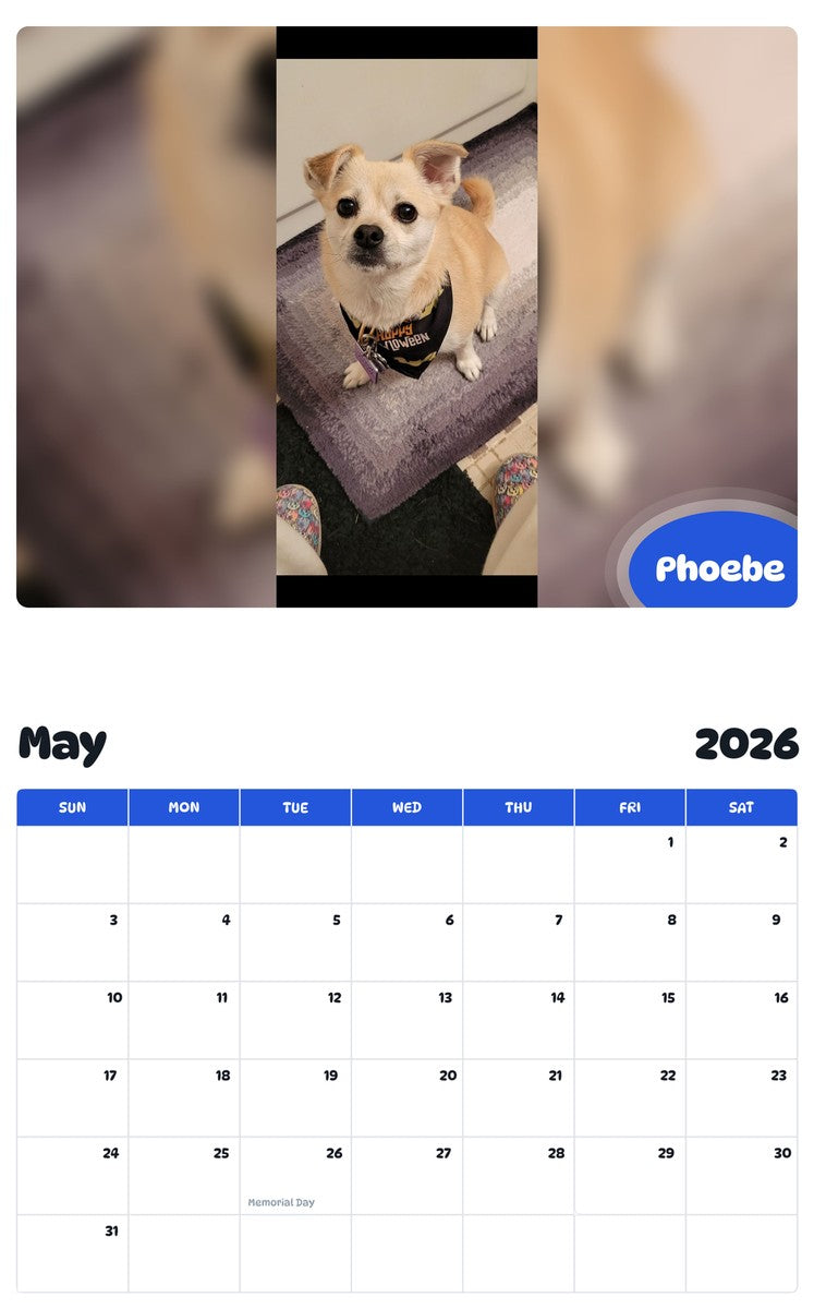 2026 - 2027 Phoebe - Pawidols Pet Calendar