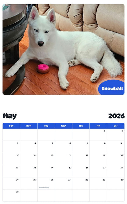 2026 - 2027 Snowball - Pawidols Pet Calendar