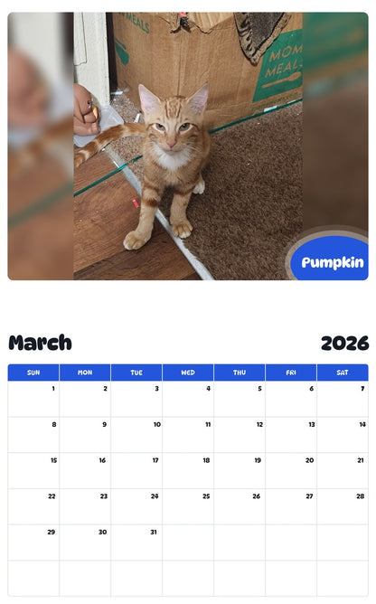 November 2025 - October 2026 Pumpkin - Pawidols Pet Calendar