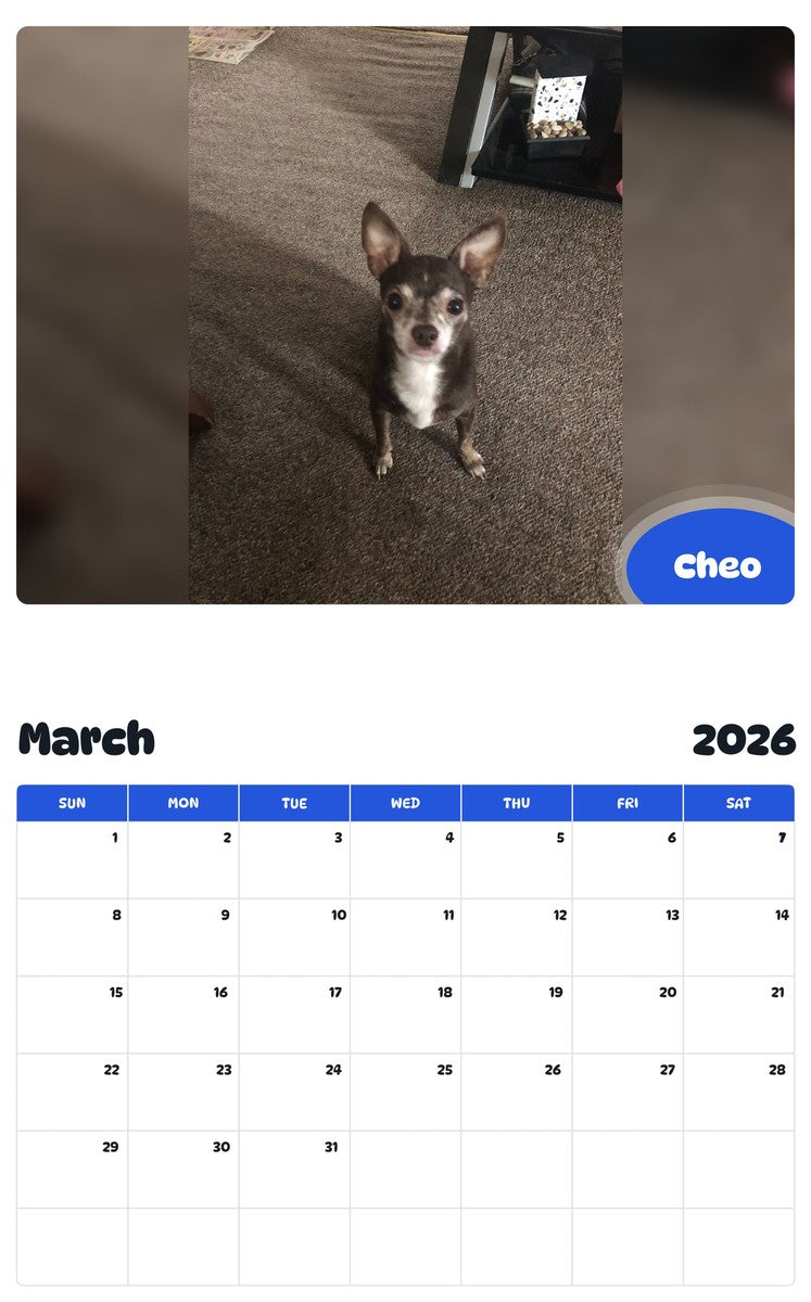November 2025 - October 2026 Cheo - Pawidols Pet Calendar