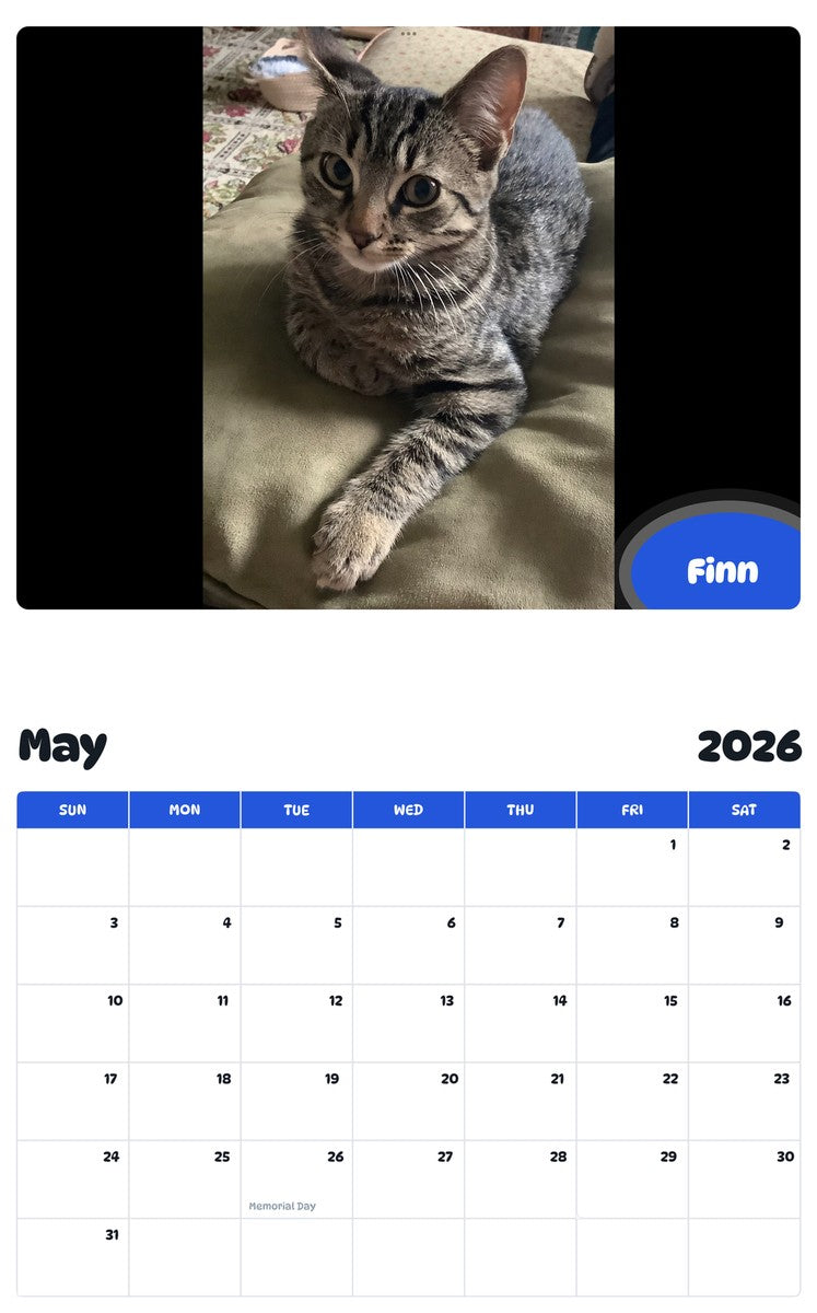 2026 - 2027 Finn - Pawidols Pet Calendar
