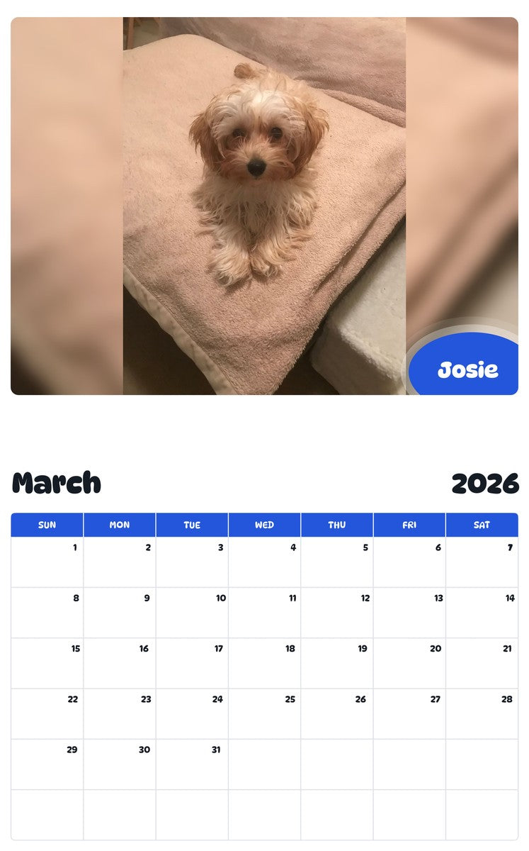 November 2025 - October 2026 Josie - Pawidols Pet Calendar