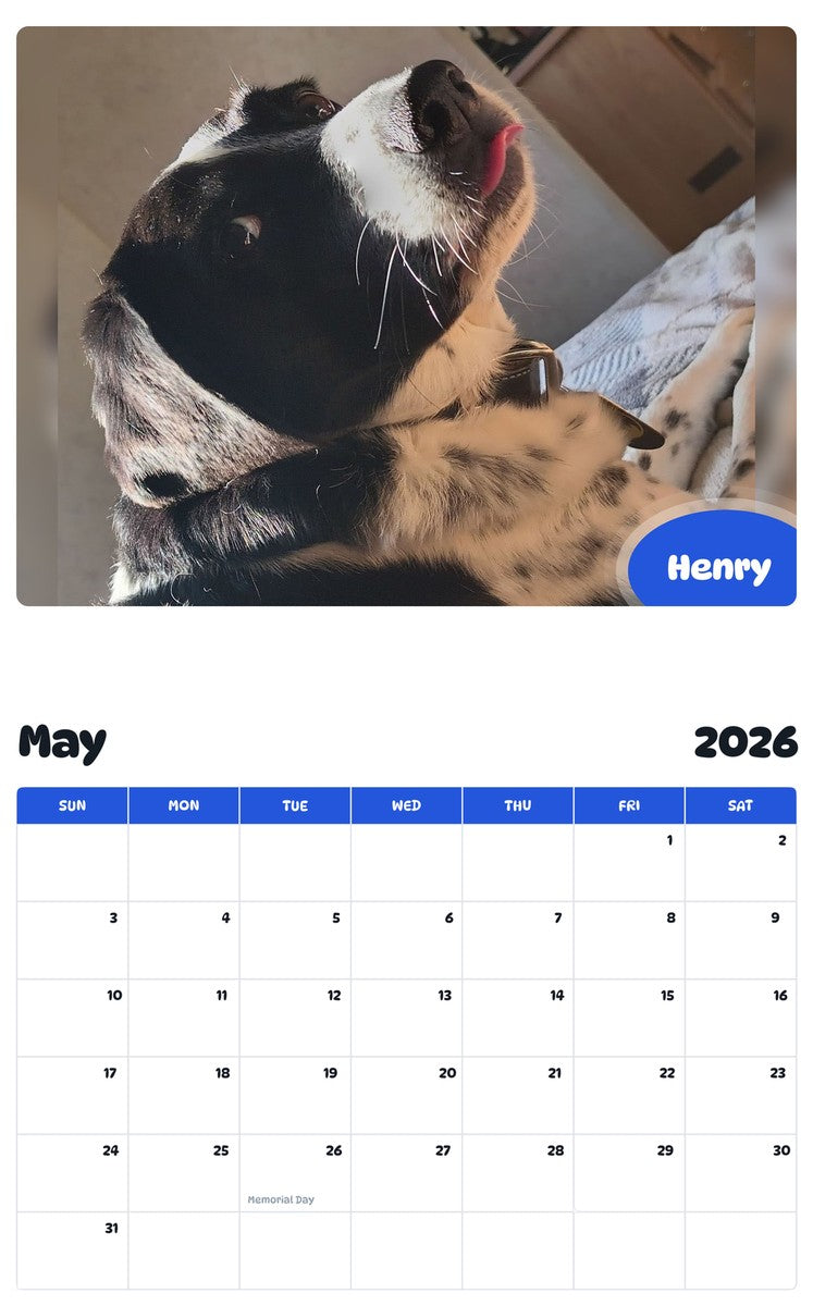2026 - 2027 Henry - Pawidols Pet Calendar