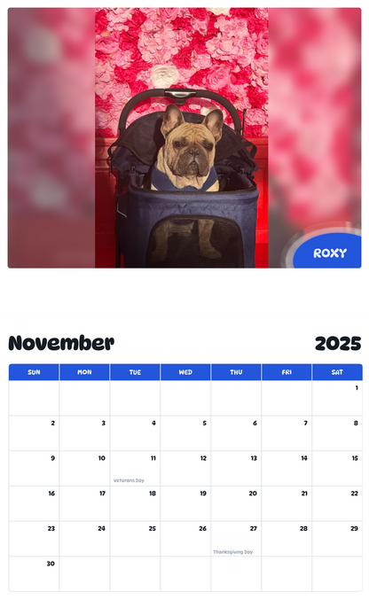 July 2025 - June 2026 Roxy - Pawidols Pet Calendar