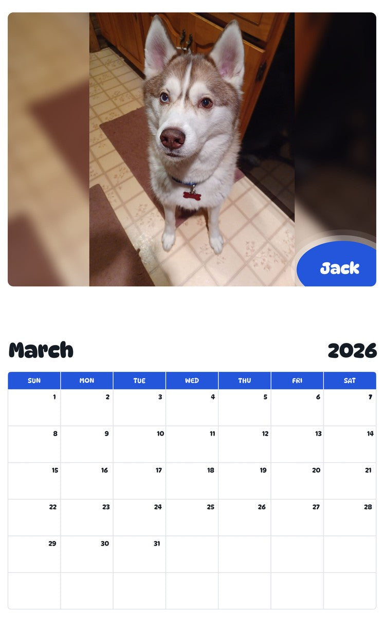 November 2025 - October 2026 Jack - Pawidols Pet Calendar
