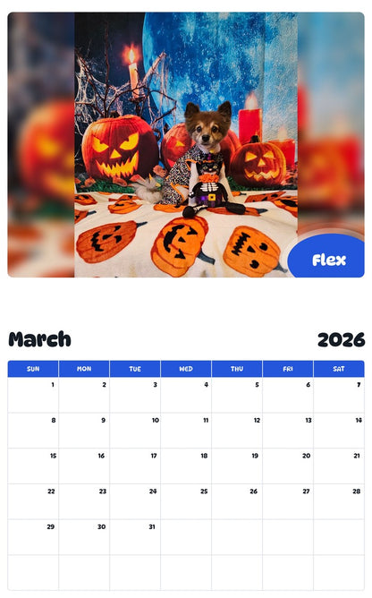 November 2025 - October 2026 Flex - Pawidols Pet Calendar