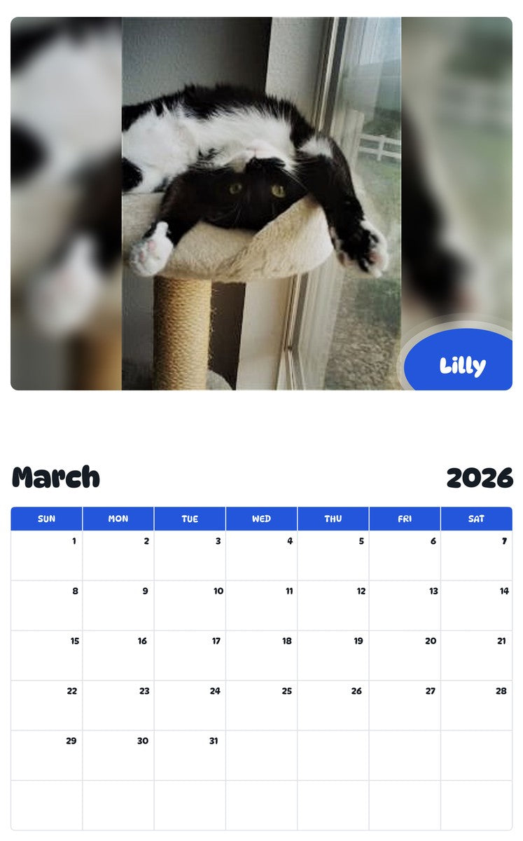 November 2025 - October 2026 Lilly - Pawidols Pet Calendar
