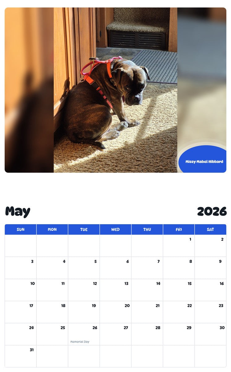 2026 - 2027 Missy Mabel Hibbard - Pawidols Pet Calendar