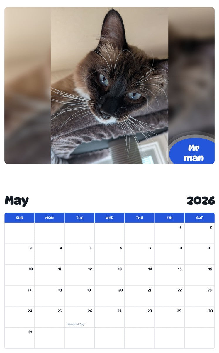 2026 - 2027 Mr man - Pawidols Pet Calendar
