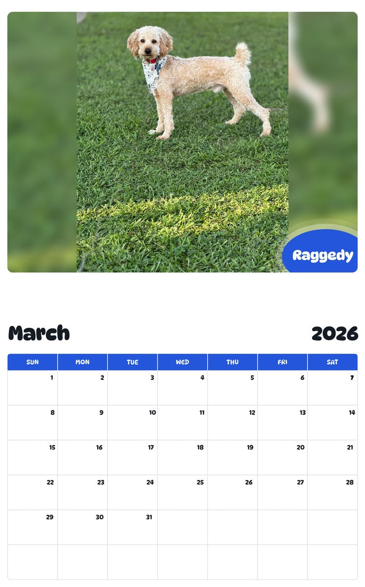 November 2025 - October 2026 Raggedy - Pawidols Pet Calendar