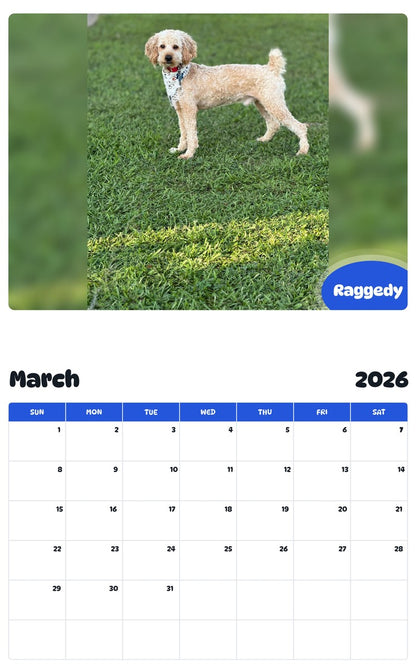 November 2025 - October 2026 Raggedy - Pawidols Pet Calendar