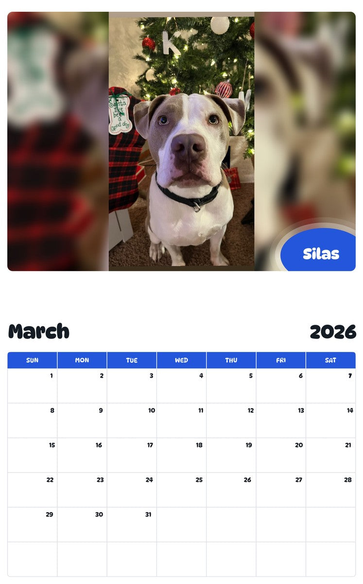 November 2025 - October 2026 Silas - Pawidols Pet Calendar