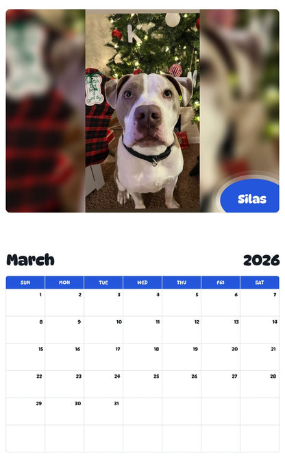 November 2025 - October 2026 Silas - Pawidols Pet Calendar