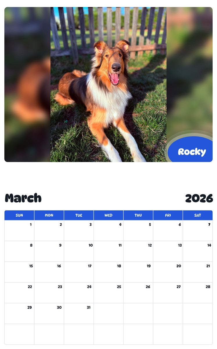 November 2025 - October 2026 Rocky - Pawidols Pet Calendar