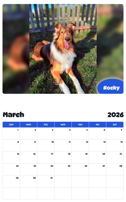 November 2025 - October 2026 Rocky - Pawidols Pet Calendar