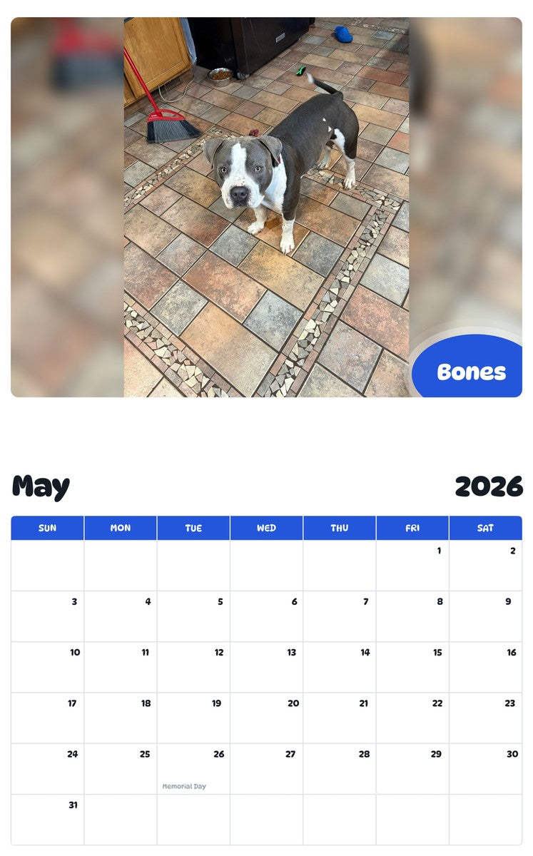 2026 - 2027 Bones - Pawidols Pet Calendar