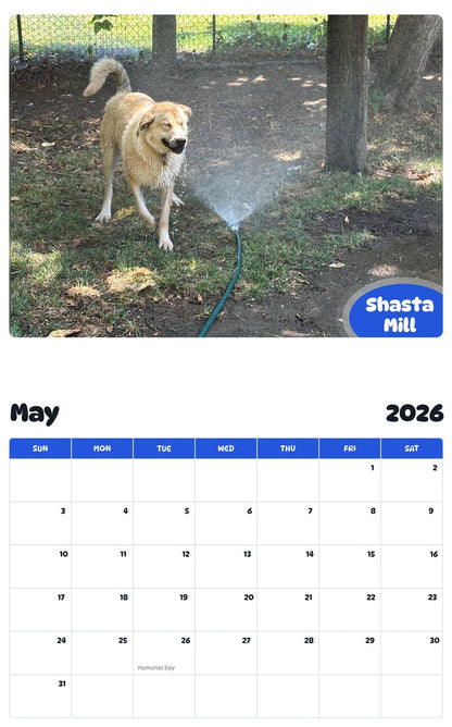 2026 - 2027 Shasta Mill - Pawidols Pet Calendar