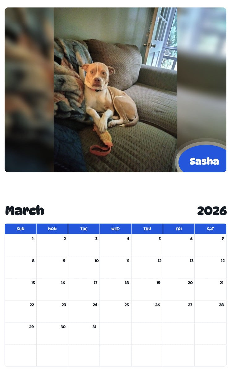 November 2025 - October 2026 Sasha - Pawidols Pet Calendar